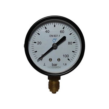 Manometar Fi 63 0-100 bar radialni